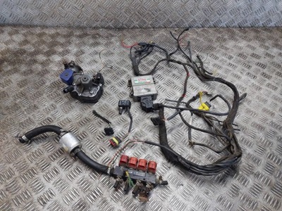 Электропроводка газовая lpg stag-4 eco tomasetto at09 alex stag ps-01 фото №1