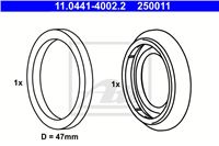 ATE РЕМ.КОМПЛЕКТ СУППОРТА HAM BMW 3 E46 00-/BMW Z4 E85 02-/SAAB 9-5 I 97-