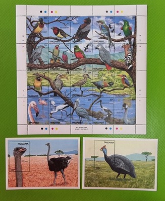 Fauna - Struś - Ptak - Tanzania