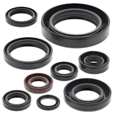 WINDEROSA (VERTEX) SET (SET) SEALS - milautoparts-fr.ukrlive.com