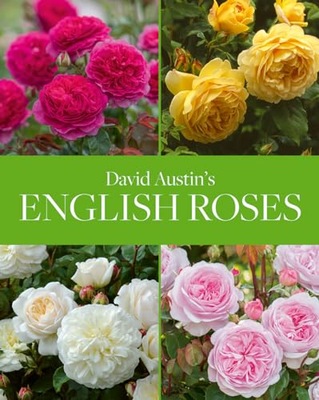 David Austin David Austin's English Roses