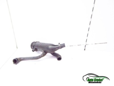 Berlingo i 96r- вентиляція картера щуп оливи щуп 1.9 d фото №1