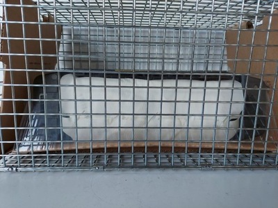 Glc w253 подушка воздушная пассажира nowa оригинальный номер фото №1