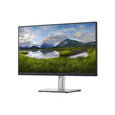 MONITOR DELL LED 24'' P2422H