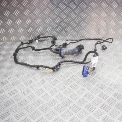 Джгут передніх правих двері maserati quattroporte vi 06700093500 фото №1