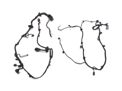 Жгут электропроводка дверь правый перед audi a8 d3 фото №1