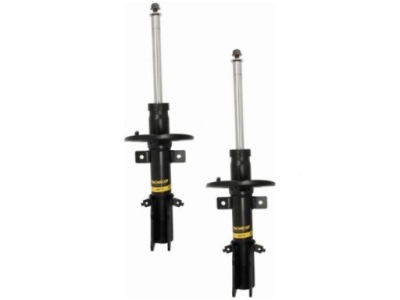 Амортизаторы перед renault kangoo grand kangoo 2 1.2-1.6 08- фото №1