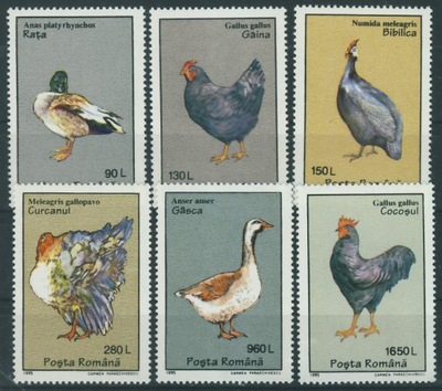 Rumunia nr 5111/16 ** fauna ssaki ptaki kury kaczki