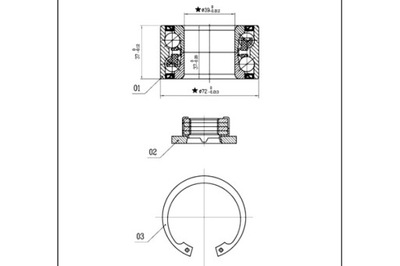 STARLINE ПОДШИПНИК ШЕСТЕРНИ КОМПЛЕКТ КОМПЛЕКТ FORD FOCUS FIESTA FUSION БЕЗ ABS