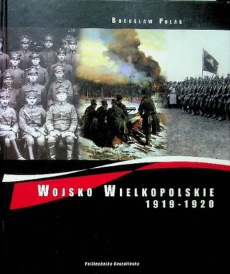 Wojsko wielkopolskie 1919 1920