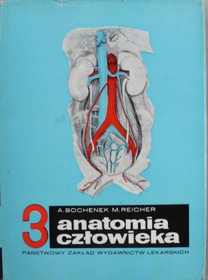 3 Anatomia człowieka