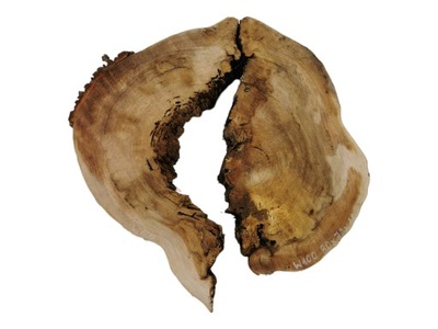 Plaster Drewna Wiąz w Kawałkach 80x72x10cm Duży Blat z Drewna