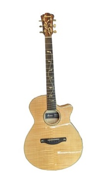 Gitara Ibanez AEG750-NT