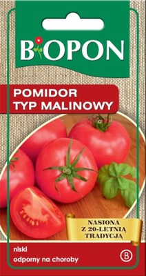 Pomidor malinowy - nasiona 0,2 g BIOPON
