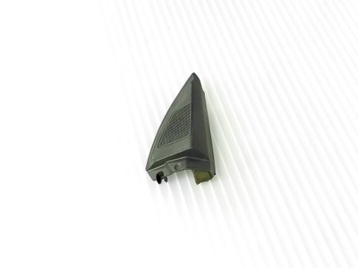 OPEL VECTRA C PROTECCIÓN BRIDA CIEGA TRAGALUZ DE PUERTA DERECHA PARTE DELANTERA 9179575 OE  