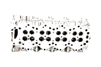 Japko головка фото №1