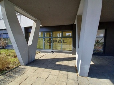 Biuro, Sosnowiec, Sielec, 41 m²