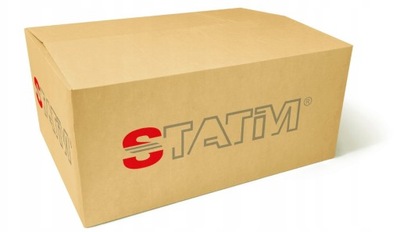 STATIM 100.860 SET CLUTCH SET  