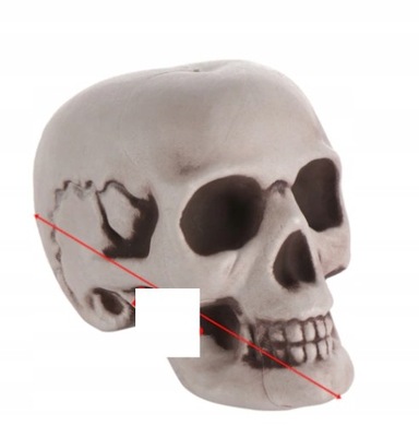 czaszka ozdoba halloween 18cm x 12cm
