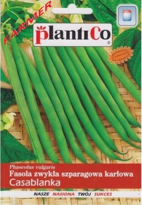 Plantico Fasola szparagowa zielona CASABLANKA 40g