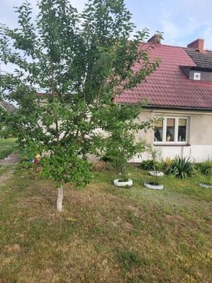 Dom, Krzowiec, Choszczno (gm.), 80 m²
