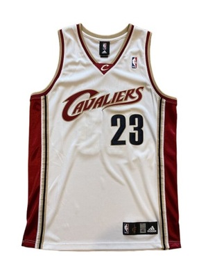 Lebron James Cleveland Cavaliersc Jersey, L