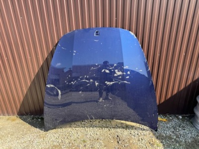 Porsche panamera 971 971-823-031-by-grv капот фото №1