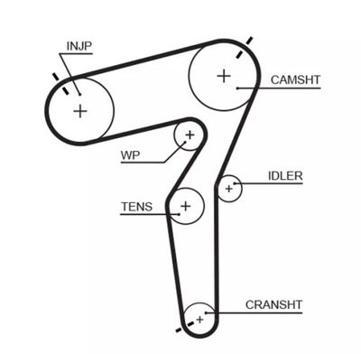 CORREA DISTRIBUCIÓN  