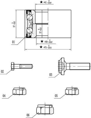 ПІДШИПНИК ШЕСТЕРНІ КОМПЛЕКТ КОМПЛЕКТ ПЕРЕД AUDI 80/90/A4/A6/SKODA SUPERB/VW PASSAT