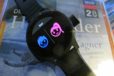 Smartwatch Garmin Venu