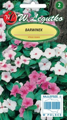 BARWINEK (Vinca rosea) piękna roślina okrywowa (L)