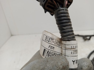 Kia ceed lift електропроводка джгут поперечина 91877-1h020 фото №1