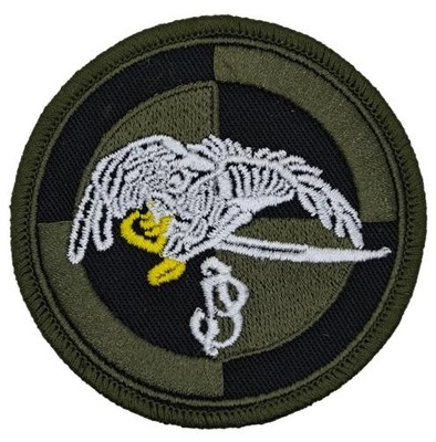 NASZYWKA odznaka 1 batalion 25 Brygady Kawalerii Powietrznej POLOWA