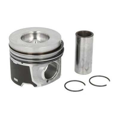 Поршень nural фото №1