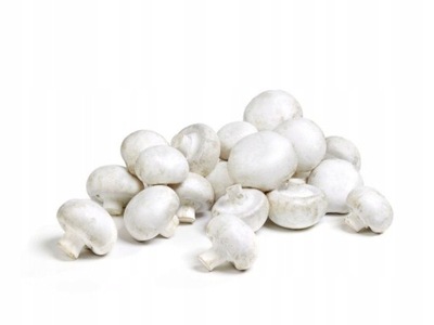.PIECZARKI ŚWIEŻE POLSKIE 1 kg