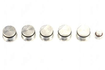 Заглушки колектор впускний bks-ft-008 фото №1