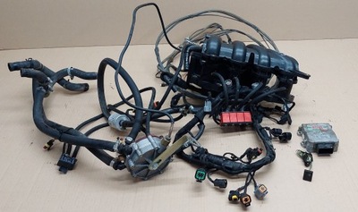 Електропроводка газова valtek фото №1