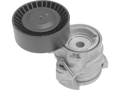 Ina 534 0122 10 натягувач ремінь клиновий багаторучейковий фото №1