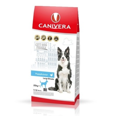 CANIVERA PUPPY & JUNIOR LARGE 3KG