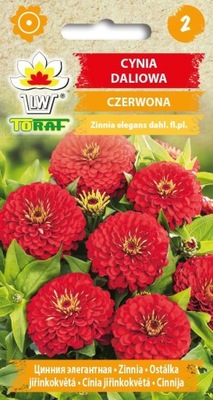 Cynia daliowa czerwona - 1g TORAF