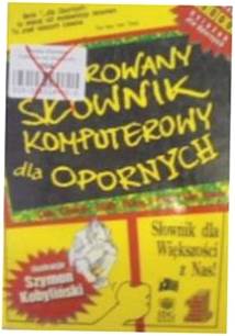 Ilustrowany słownik komputerowy dla opornych - Dan