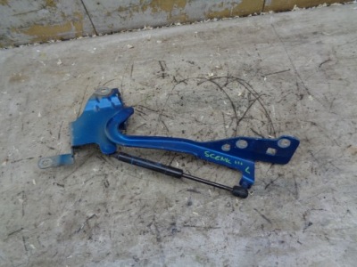 Петля капот лівий renault scenic 3 iii terna фото №1