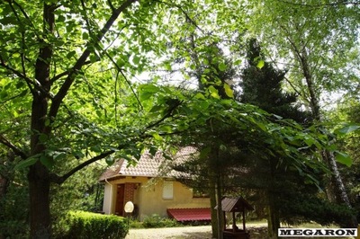 Dom, Raduczyce, Osjaków (gm.), 80 m²