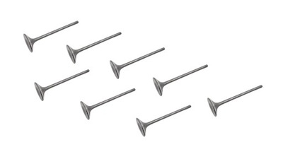 Клапан всмоктуючий suzuki grand vitara kizashi 2.4 x8 фото №1