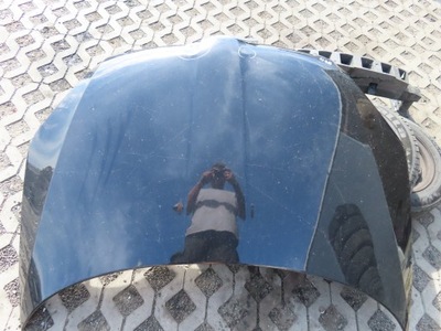 Skoda fabia ii капот 9910 фото №1