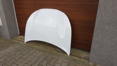 Капот cupra terramar фото №1