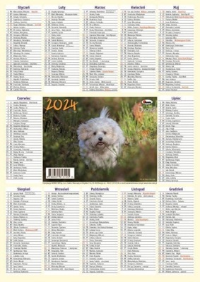 Kalendarz 2024. Listkowy ścienny