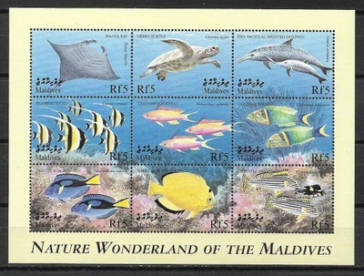 Malediwy ryby 2