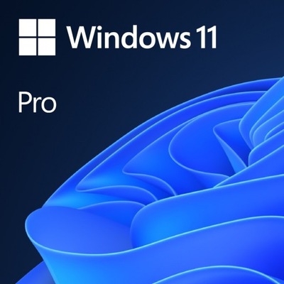 Licencja Microsoft Windows 11 Pro PL x64 DVD FQC-10544