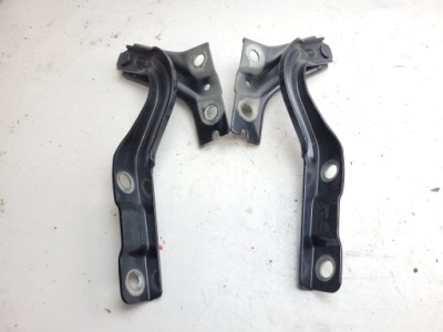 Mg4 mg 4 петли капот левый правый цвет 5pag фото №1